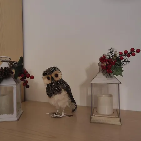 Дом отдыха Orchidea Bianca